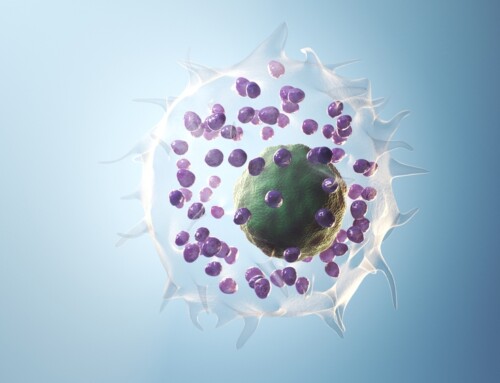 Mast Cell Activation Syndrome (MCAS) links to Hypermobility, Fibromyalgia, ADHD, Neurodivergence, and COVID