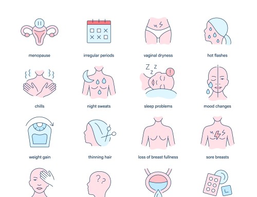 Why do perimenopausal women develop musculoskeletal pain and inflammation?